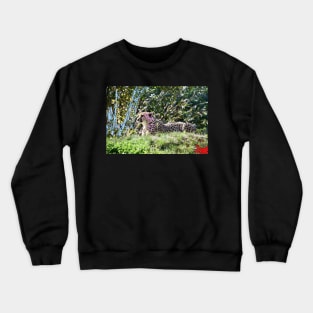 Gepard / Swiss Artwork Photography Crewneck Sweatshirt